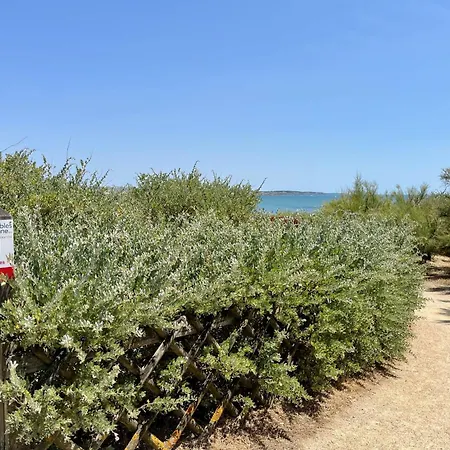 Apartament Vue Imprenable Sur L'ocean & Piscine Naturelle Les Sables-dʼOlonne