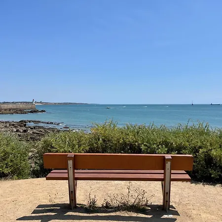 Vue Imprenable Sur L'ocean & Piscine Naturelle *