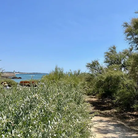 Vue Imprenable Sur L'ocean & Piscine Naturelle