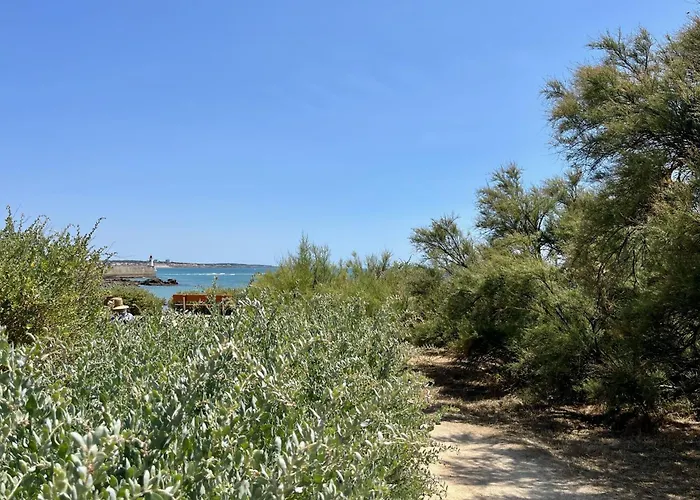 Vue Imprenable Sur L'ocean & Piscine Naturelle